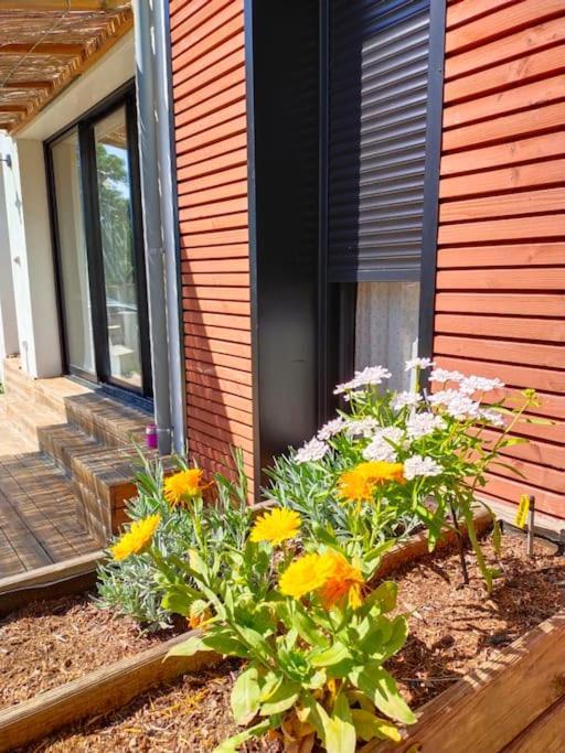 Notre Petite Maison La Rochelle  Dış mekan fotoğraf